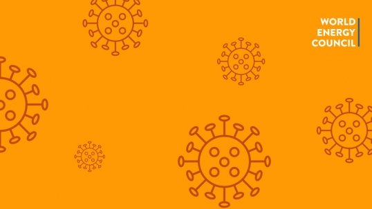 EPRI Virtual Summer Seminar 2020: Stress Testing and Designing Post-pandemic Strategies