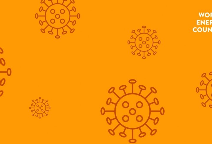 EPRI Virtual Summer Seminar 2020: Stress Testing and Designing Post-pandemic Strategies